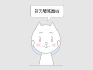 特材法蘭調節閥